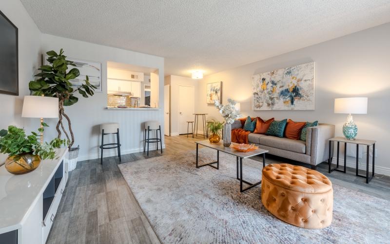 a living room with a rug and a couch