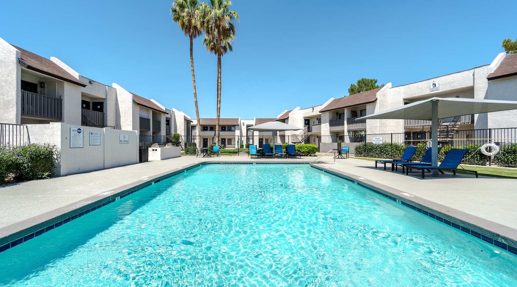 a courtyard with a swimming pool and palm trees